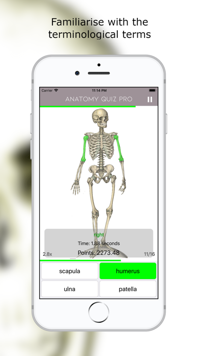 Screenshot #1 pour Anatomy Quiz lite