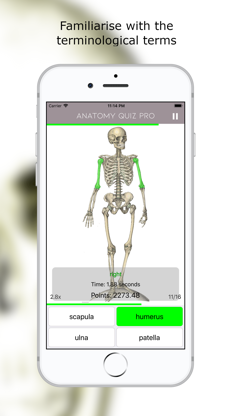 Anatomy Quiz Lite screenshot 1