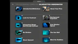 Game screenshot Silhouettes Underwater apk