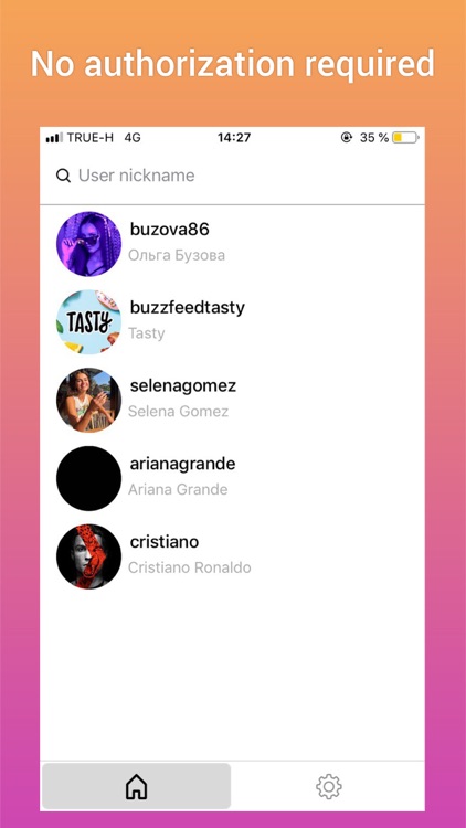Gramster for Instagram stories