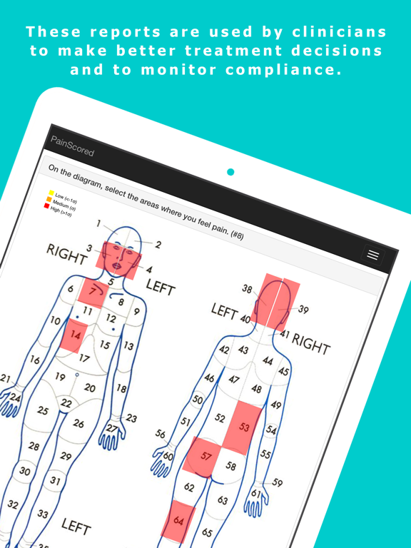 Pain Scored iPad screenshot 5 - Medical app