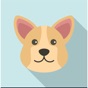 Dog Breed AI app download
