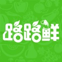 路路鲜 icon