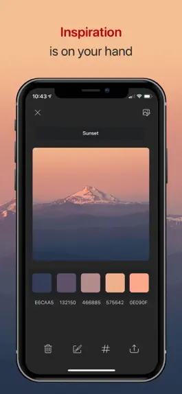 Game screenshot Color Collect - Palette Studio apk