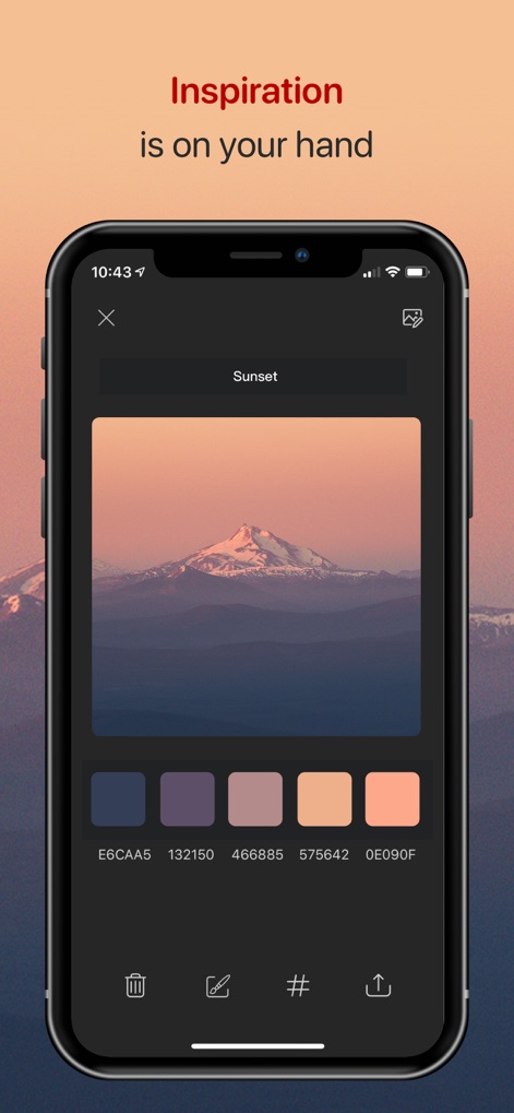 Color Collect - Palette Studio - 