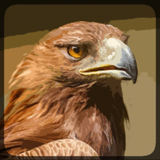 Eagle Hunting Journey iOS App