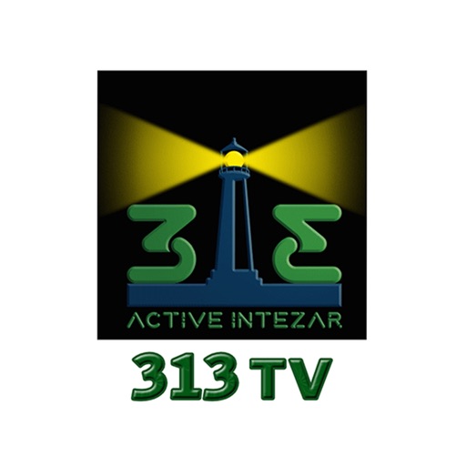 313 TV