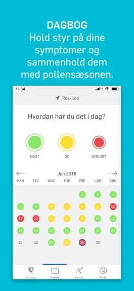 Game screenshot Dagens Pollental hack