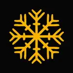 Snowflake Puzzle App Support