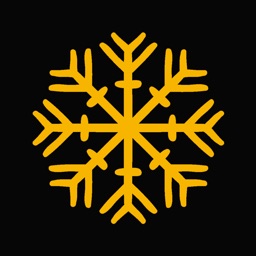 Snowflake Puzzle