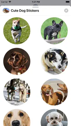 Cute Dog Sticker Set iPhone image 1