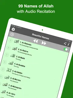 99 Names of Allah (Pro) iPad image 1