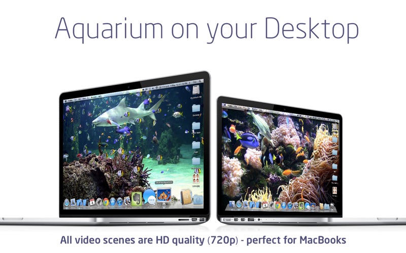 Screenshot #1 for Desktop Aquarium Wallpapers