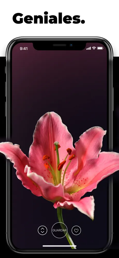 Fondos de Pantalla en Vivo