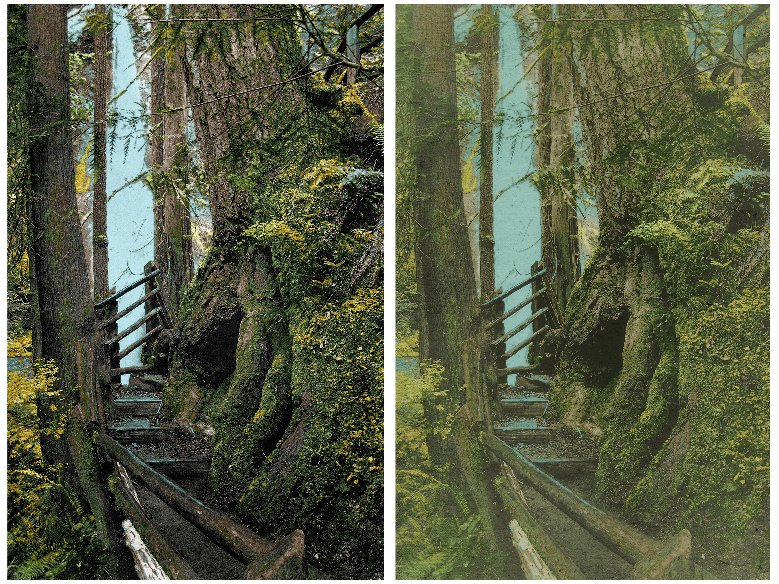 Hand Tint Pro screenshot 7