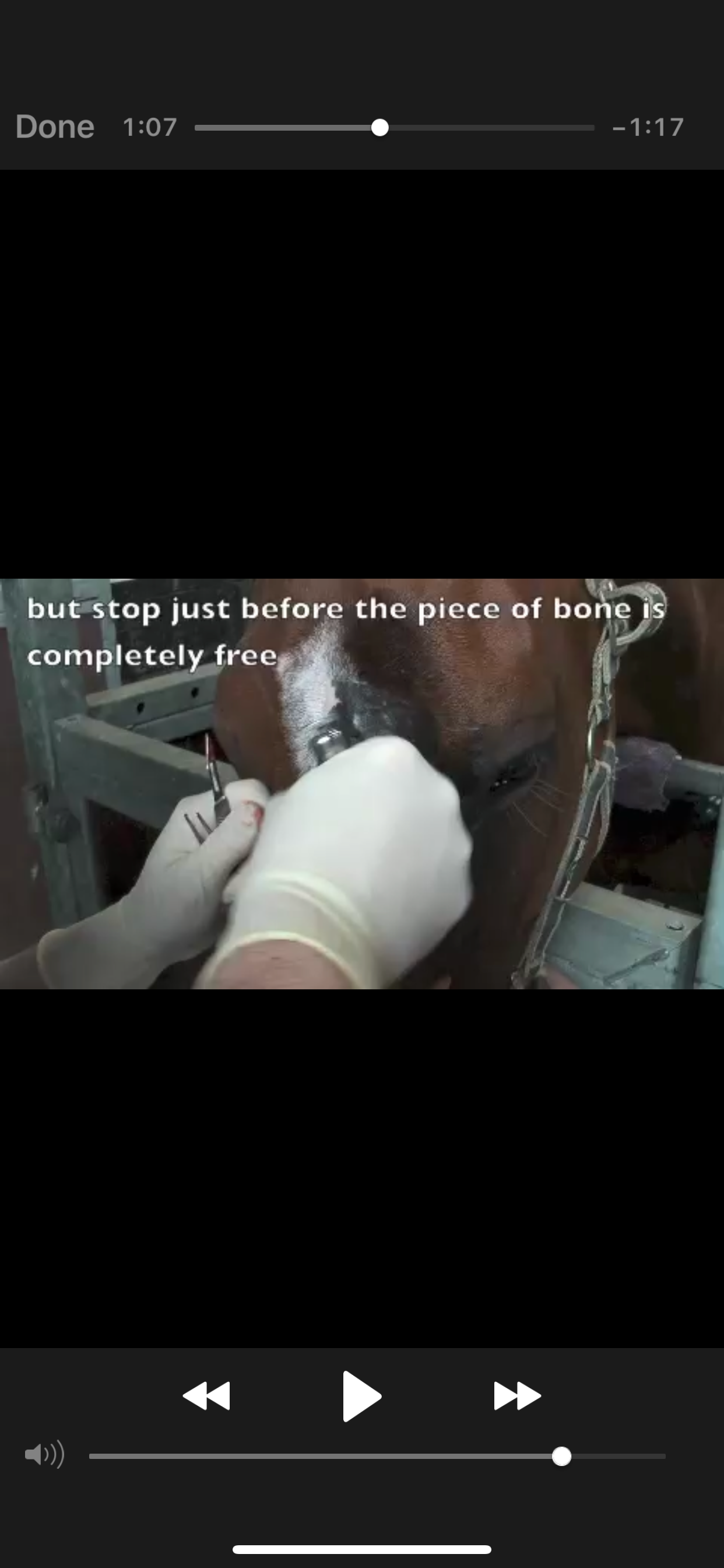 EVA: Equine Techniques
