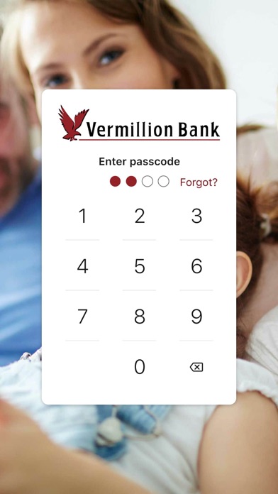 Vermillion State Bank Screenshot