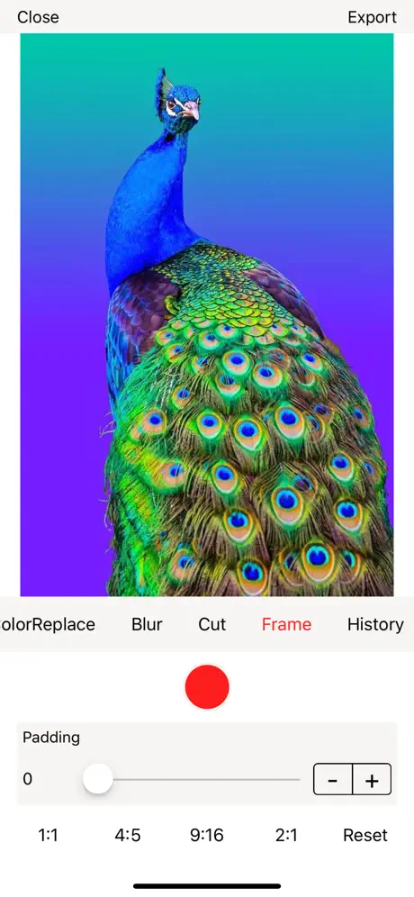 PISA - Photo Editor