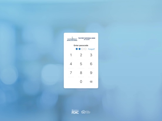 FNB Lacon iPad screenshot 2 - Finance app