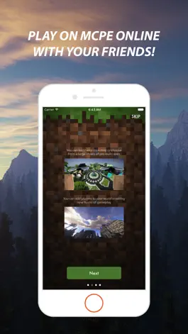 Game screenshot Серверы LEET для Minecraft BE apk