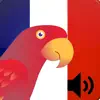تعلم الفرنسية بالصوت‎ App Support