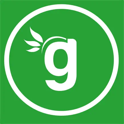 Glicini Village Читы