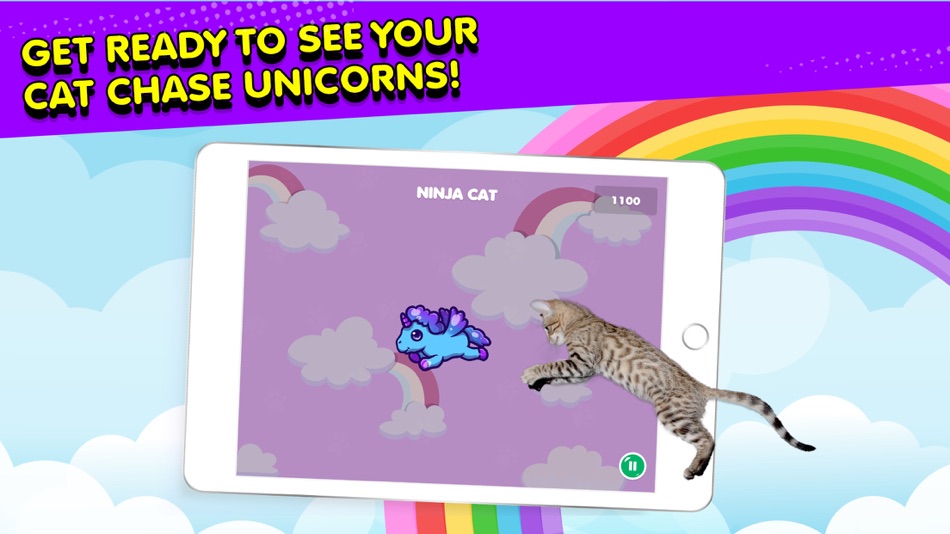 #3. Ninja Cat: Game for Cats (iOS) 来自: Team Penguin