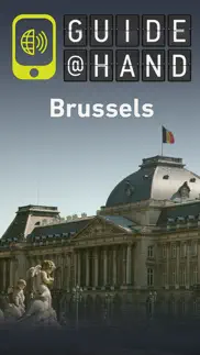 brussels guide@hand problems & solutions and troubleshooting guide - 1