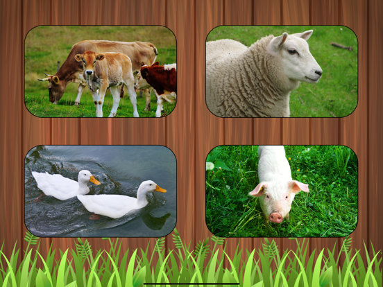 Screenshot #6 pour Listen Farm Animals