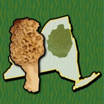 Download Adirondack Mushroom Forager NY app