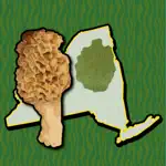 Adirondack Mushroom Forager NY App Alternatives