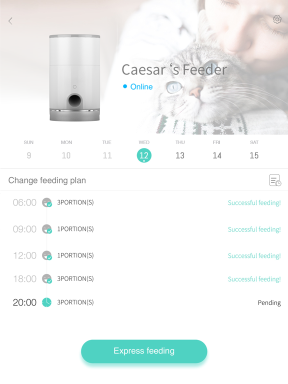 Screenshot #5 pour Pettadore
