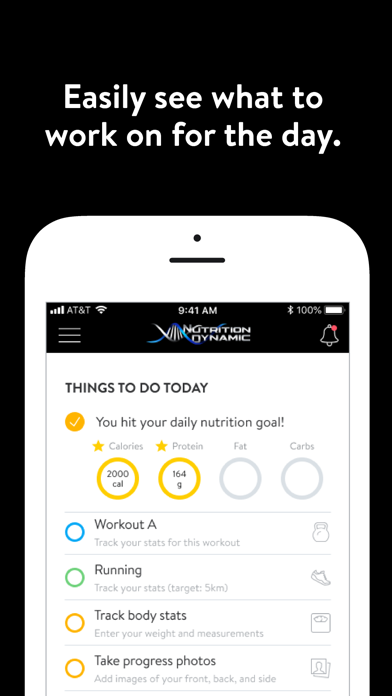 Nutrition Dynamic Screenshot