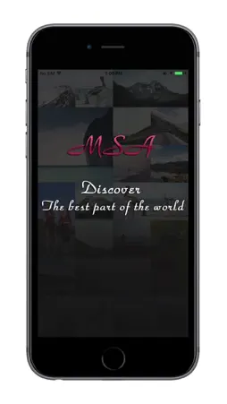 MSA screenshot 1