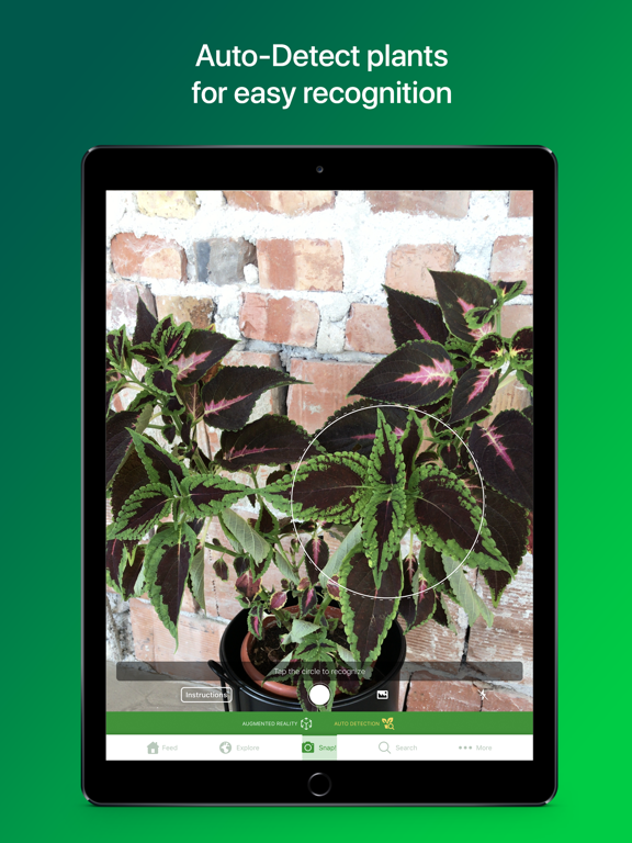 PlantSnap Pro: Identify Plants iPad screenshot 6 - Education app