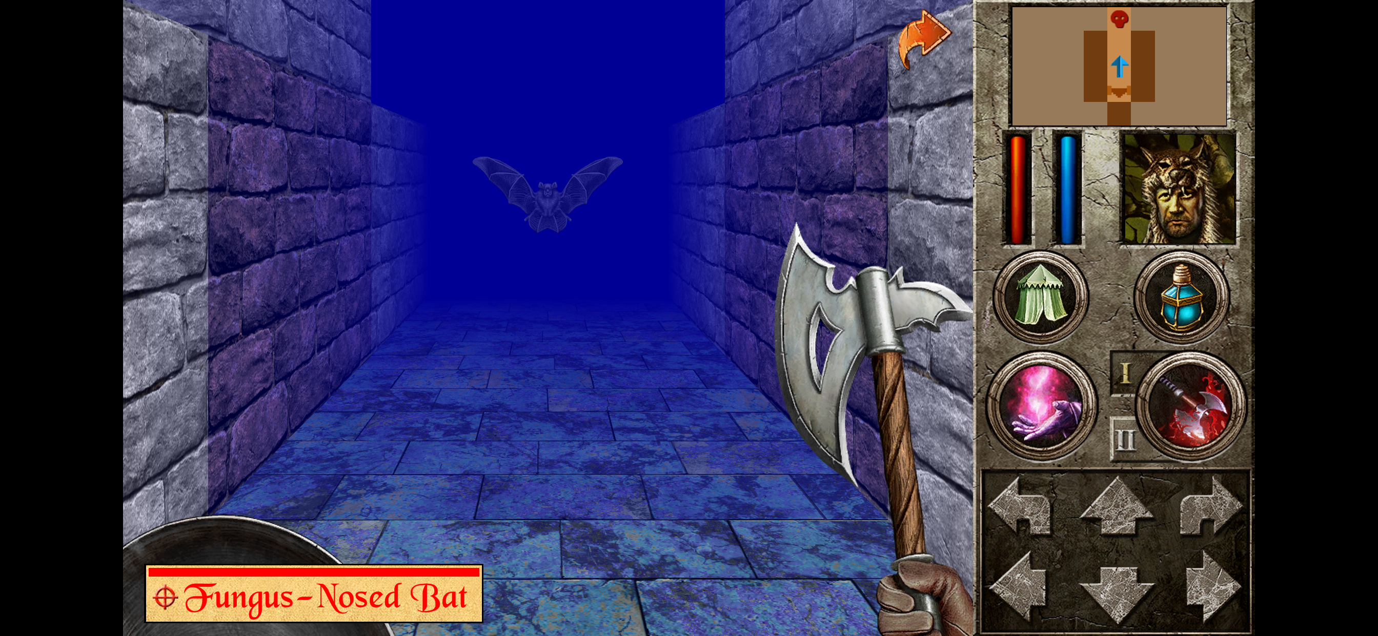 The Quest - Celtic Queen