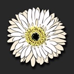 Download FloralShop: Flower Stickers app