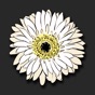 FloralShop: Flower Stickers app download