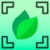 Plant by Leaf Identifier icon