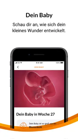 Game screenshot DAK Schwangerschaftscoaching apk