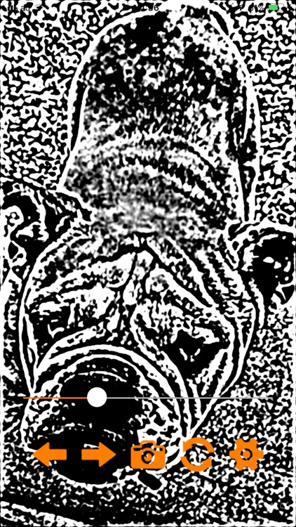 CuriousCamera screenshot-3