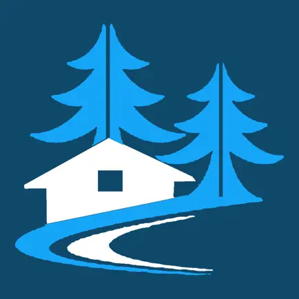 Digital Village Читы