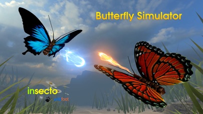 Butterfly Simulator Screenshot