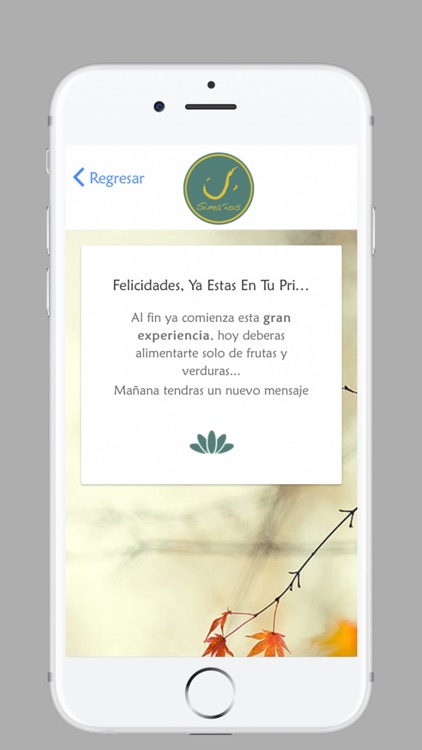 Sirope de Savia Madal Bal screenshot-4