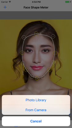 Face Shape Meter camera tool screenshot 4