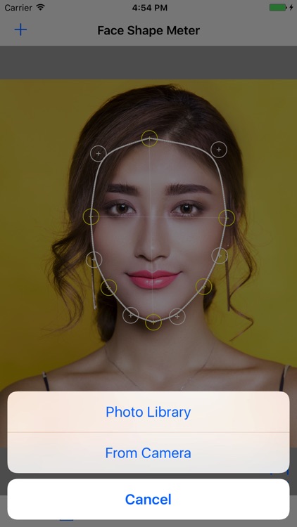 Face Shape Meter camera tool screenshot-3