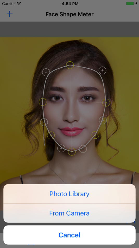 #4. Face Shape Meter camera tool (iOS) 由: VisTech.Projects LLC