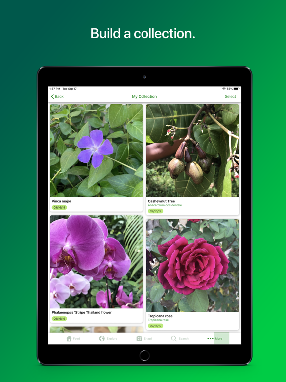 PlantSnap Pro: Identify Plants iPad screenshot 5 - Education app