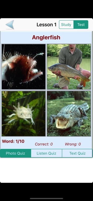 Learn English With Photos(圖4)-速報App