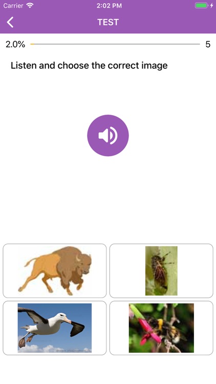 Beginner Thai: Smart Choice screenshot-5